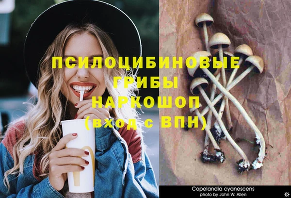 герыч Кулебаки