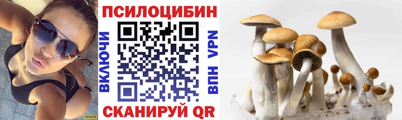 купить закладку  Ленинградская  Псилоцибиновые грибы Cubensis 